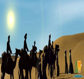 هل استراح المسلمون في الحبشة؟
